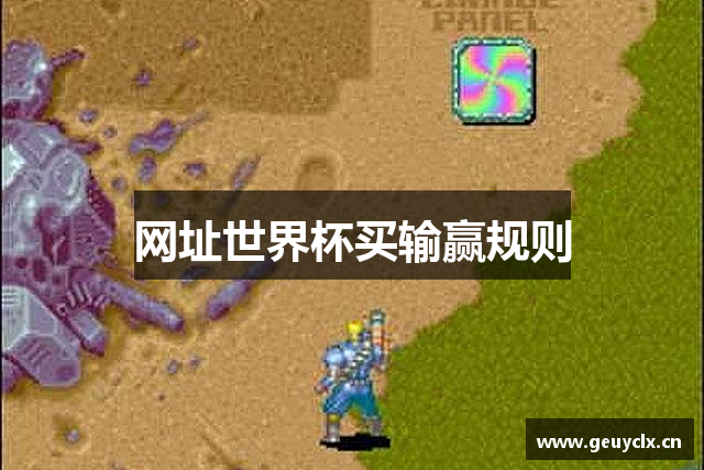 网址世界杯买输赢规则